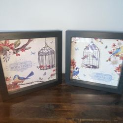 2 Botanical string art shadow box