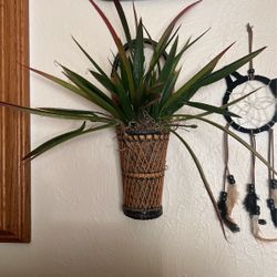 little miss plant wall hanging