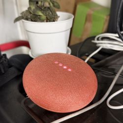Google Home