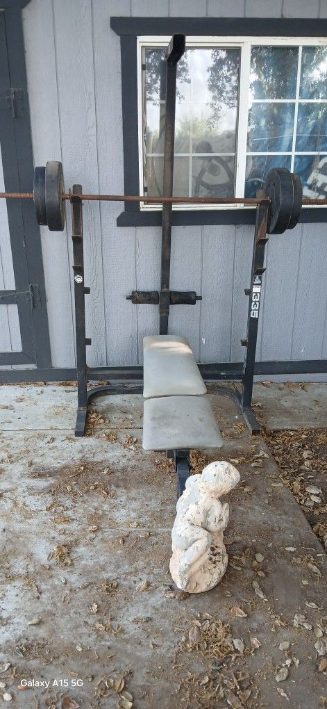 Weights And Weight Bench