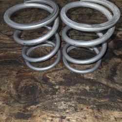 Eibach Springs