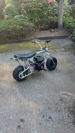 Custom built Predator 212 mini bike