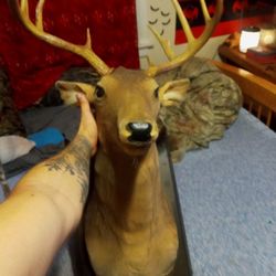 Singing/Talking Deer Head Mount