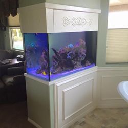 150 Gallon Aquarium 