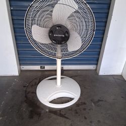 Fan 