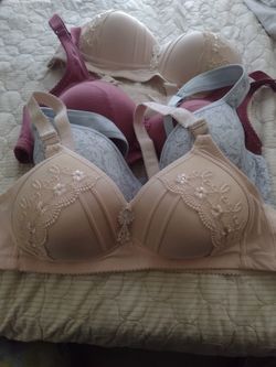 Tengo Breasieles    4$ La Piesa 