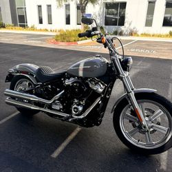 2024 Harley Davidson Softail
