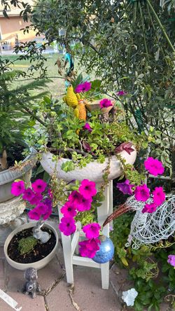 Jade  w/ petunias and wooden stand