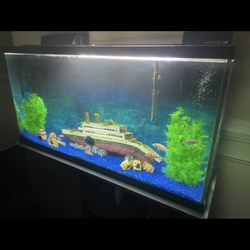 65 Gallon Fish Tank With Everything 