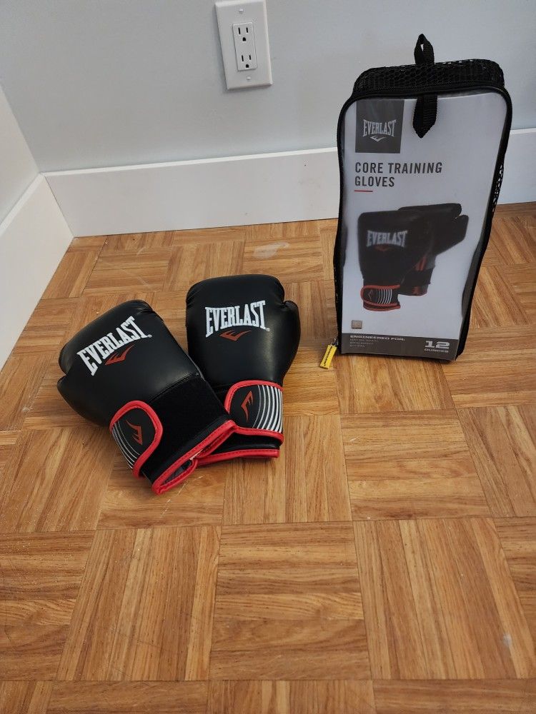 PROFESSIONAL BOXING GLOVES