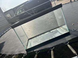 2 Terrarium Tank