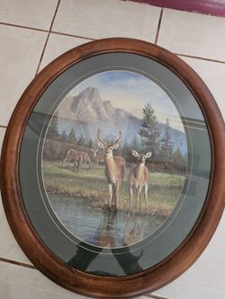 Set De Imágenes Ovaladas Con Vidrio De Venados