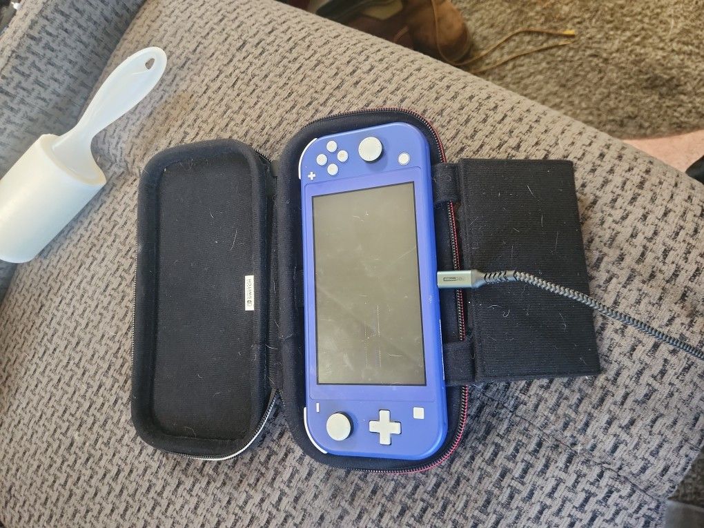 Nintendo Switch Lite & Carrying Case (Needs A New Screen)
