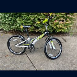 Trek Jet 20 Child’s Bicycle