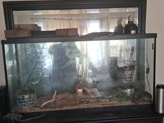 4 Foot Reptile Vivarium