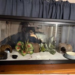 20 gallon tank with screen lid only