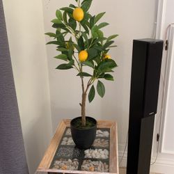 Faux Lemon Plant