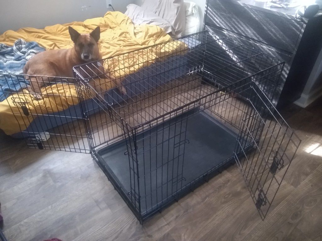 Large Collapsible Wire Dog Kennel