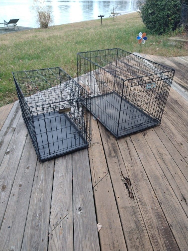 Dog Cages