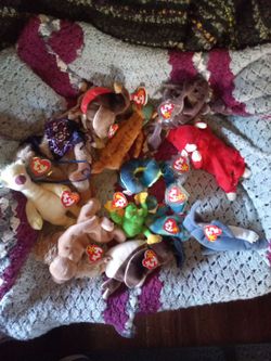 Beanie baby's