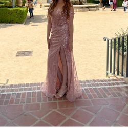 Rose gold Small Dress