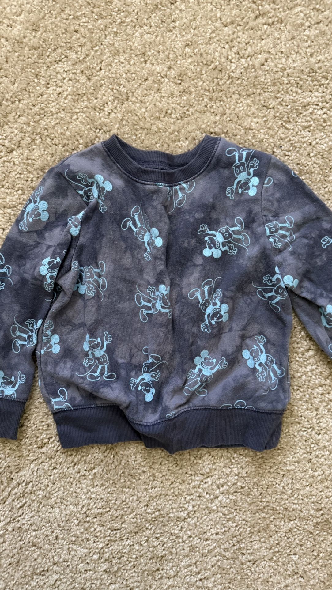 4T Disney Fleece Toddler Crewneck Sweatshirt