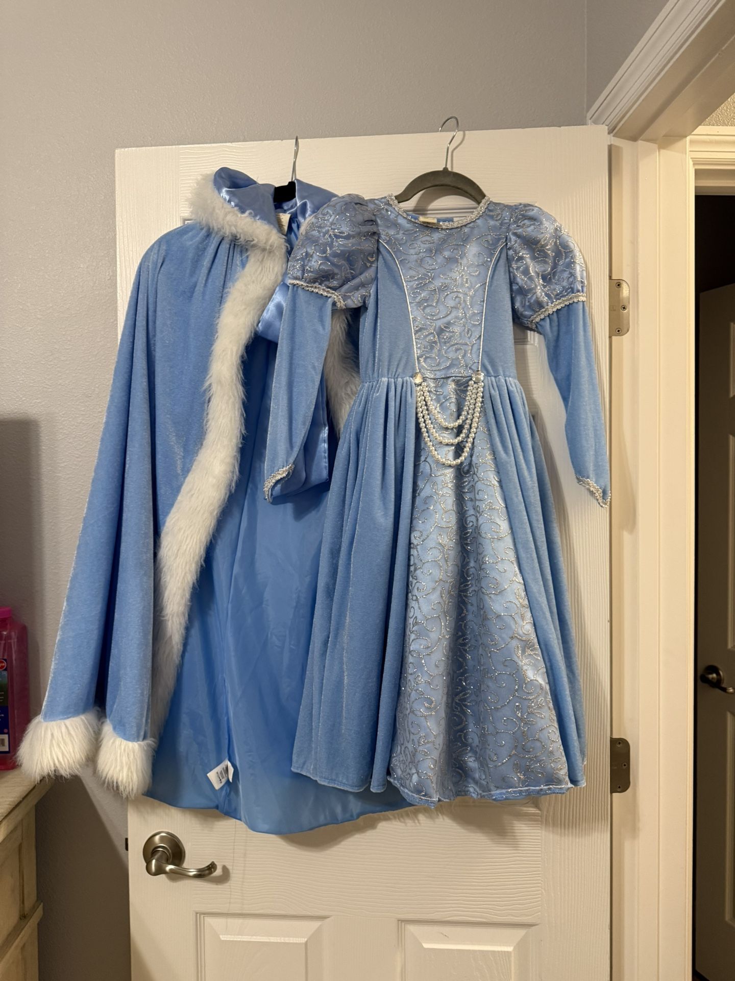 Princess Disney Elsa Costume