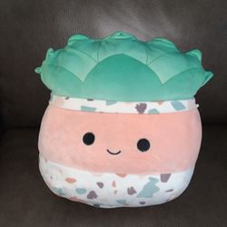 12” Succulent Squishmallow (No Tags
