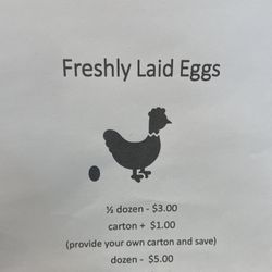 Fresh Eggs