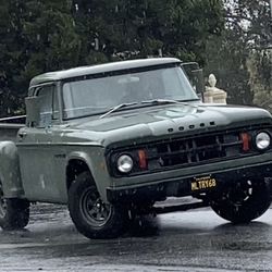 1968 D100