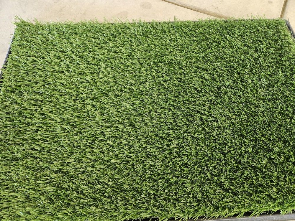 Puppy Training Pad