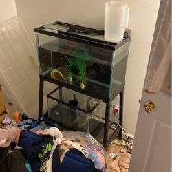 29 Gallon Fish Tank And Stand 