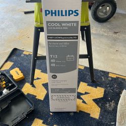 Philips Cool White - 8 Lights 