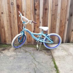 20" Schwinn Girls Bike
