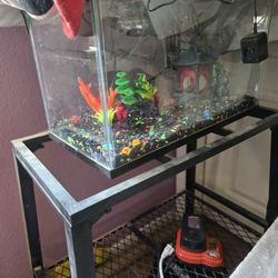 10 Gal Aquarium 