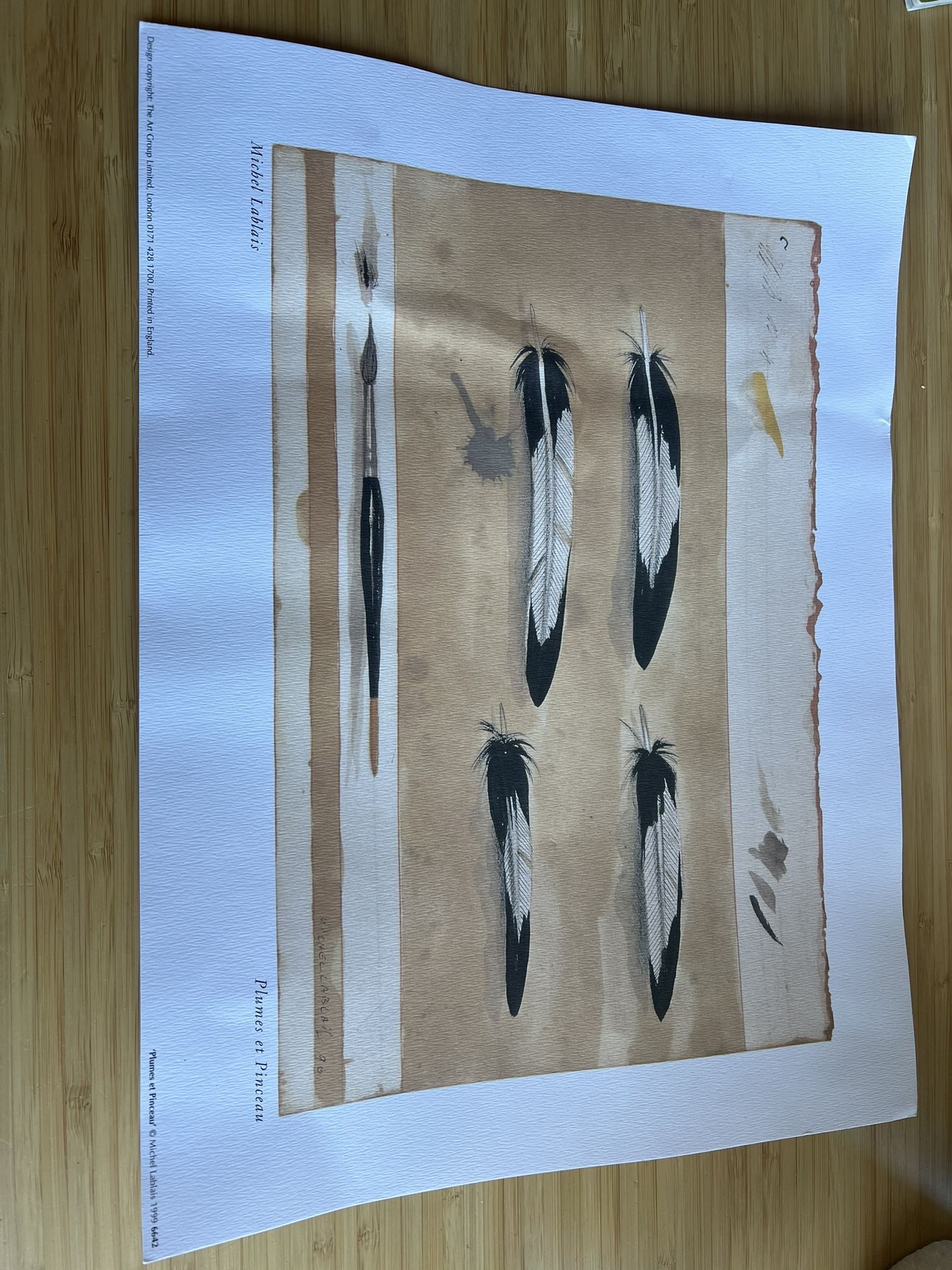 Plumes et Pinceau by Michel Lablais - 12 X 16" - Fine Art Posters.1999