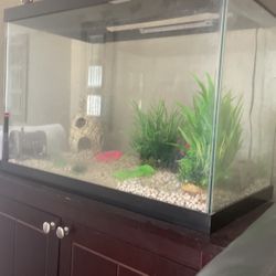 fish tank !