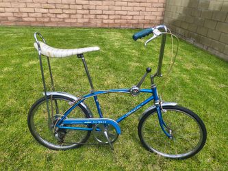 Schwinn fastback
