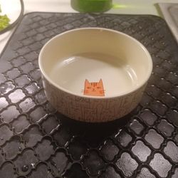 Cat Food Bowl