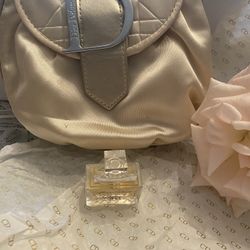 Small Golden Dior Pouch With One Item 