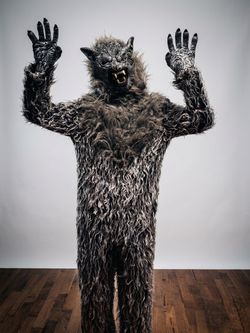 Full-Body Werewolf Costume with Attached Mask & Claws – Size Large