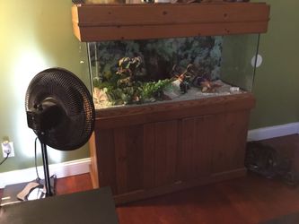 75 gallon fish tank and stand for sale. Stand up filter included.