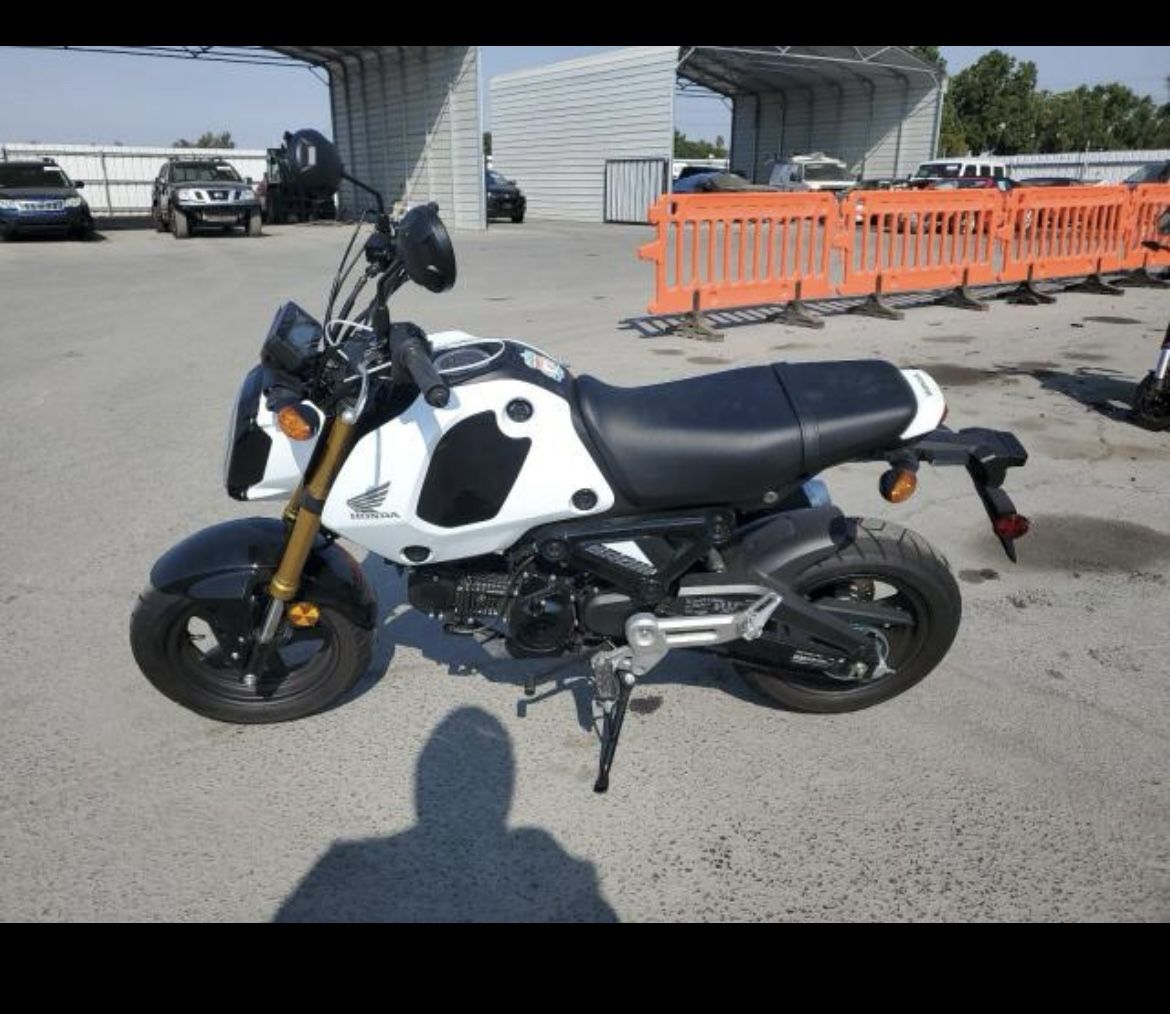 2024 Honda Grom