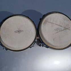 CP Bongos