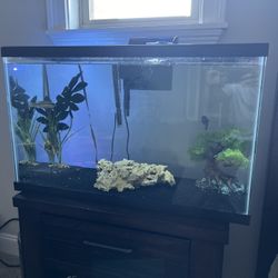 30 Gallon Fish Tank 