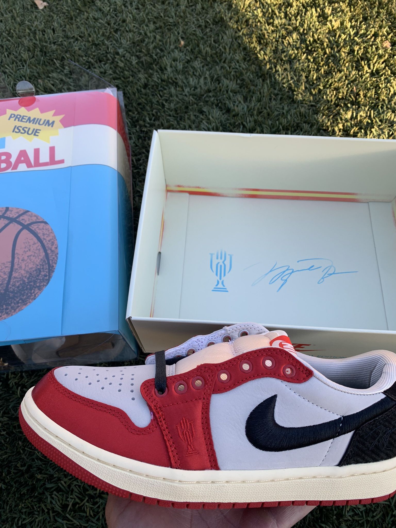 Nike Air Jordan Rookie