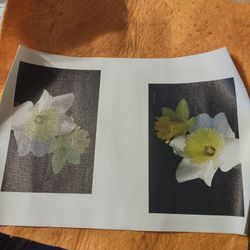 One Of A Kind Professional Photography Photos Made From My Grandpa