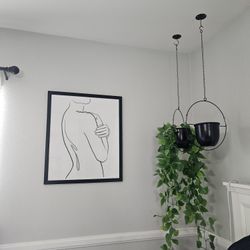 Frame And 2 Black Plant Hanging Pots