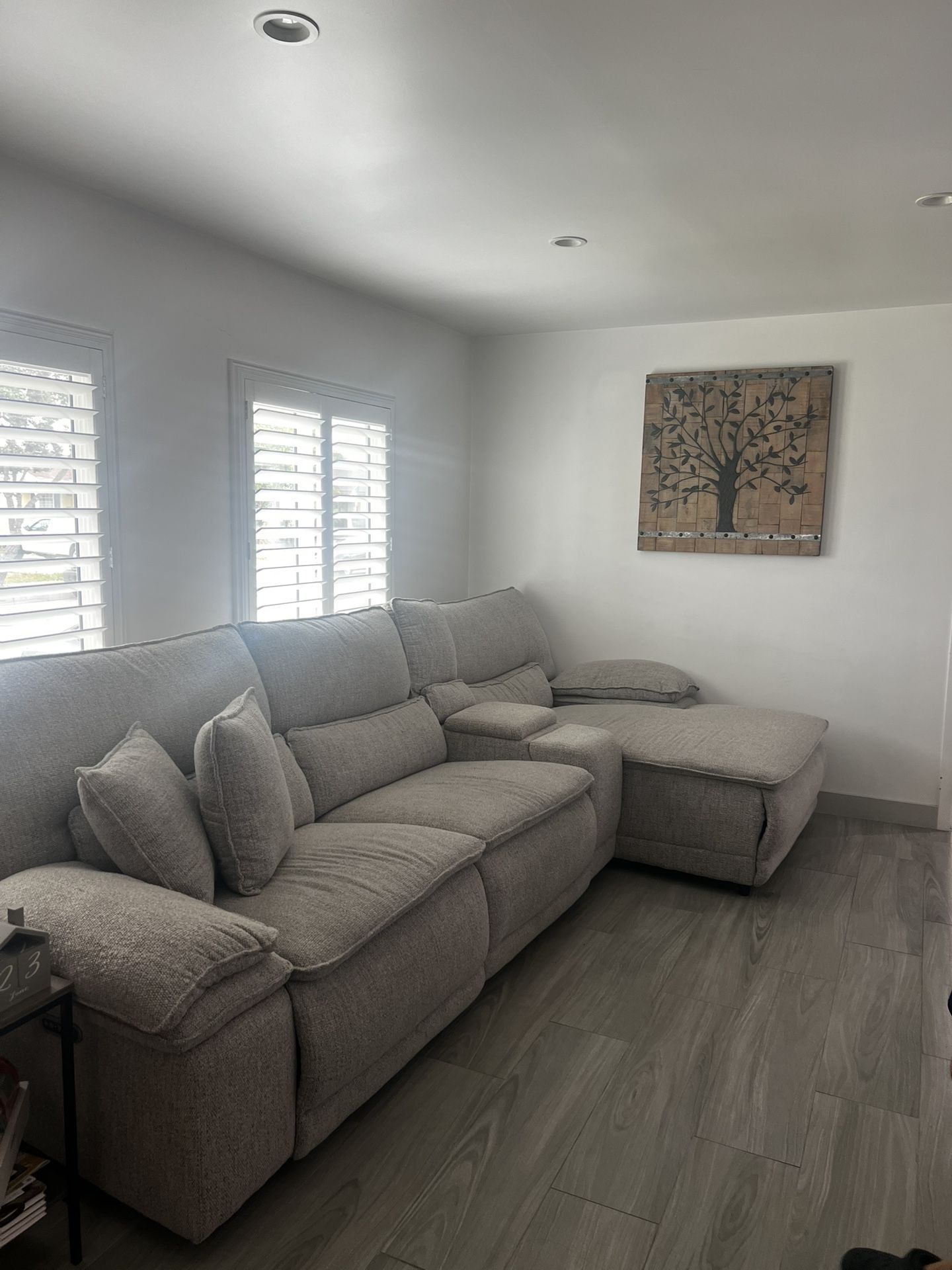 Jerome’s New couches (6 Months)
