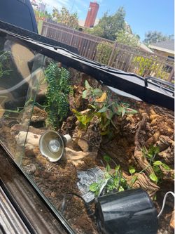 Reptile terrarium